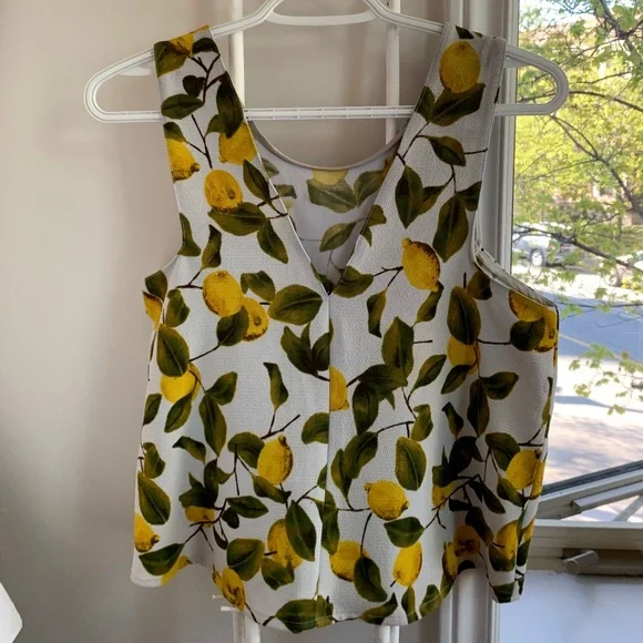 🟥SOLD 🟥 Zara - Lemon Pattern Crop Top - Picture 2 of 6